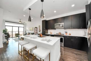 1bd Luxury apartment near Texas Medical Center - Houston - 2