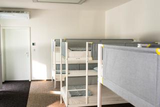 Mild Elephants Hostel - 1