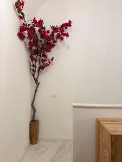 La Casetta dell'Architetto - 6