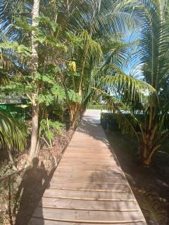 Blue Lizard House - San Andrés - 7