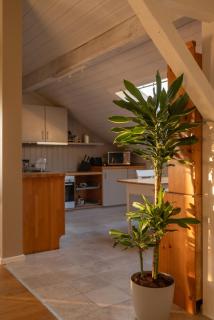 Happy Hugle Haus - Offenburg - 6