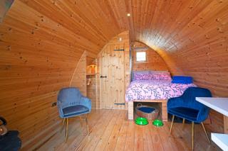 Scenic Pet Friendly Pod in Talybont Aberystwyth - 9