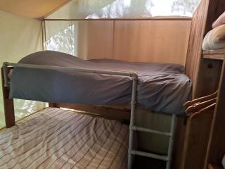 Glampingtent Bosgenot - Zedelgem - 4