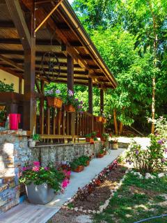 Vila Marina na obali Dunava - 9