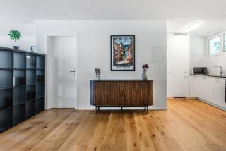 CITY-LOFT 1 !Gratis parken, Free parking! - Schaffhausen - 4