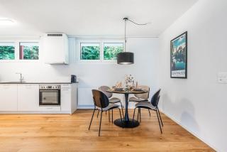 CITY-LOFT 1 !Gratis parken, Free parking! - Schaffhausen - 2
