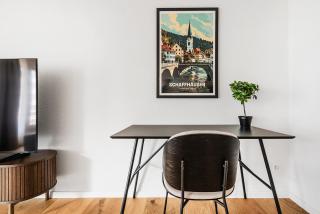 CITY-LOFT 1 !Gratis parken, Free parking! - Schaffhausen - 6