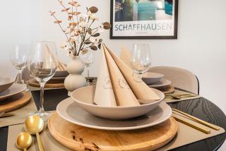 CITY-LOFT 1 !Gratis parken, Free parking! - Schaffhausen - 1