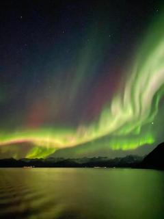 Senja, Botnhamn - - 3