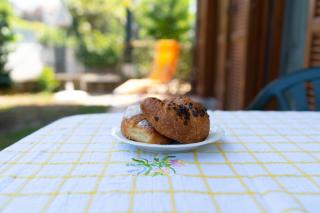 House of Camellias - Ground Floor with Garden - Besozzo - 6