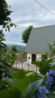 Pukina Tiny House - Cayeli - 9