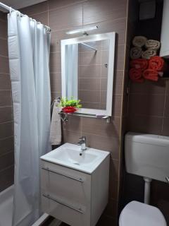 Apartma Tanja - Spodnje Škofije - 8