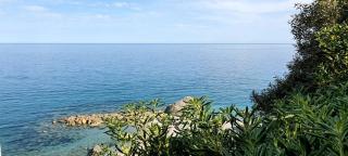 Villa Mimosa - 1
