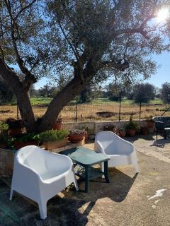 Casa di Torba Bianca - San Vito dei Normanni - 9