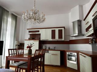 Apartmán u Císařských Lázní - Karlovy Vary - 9