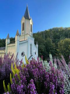 Apartmán u Císařských Lázní - Karlovy Vary - 1