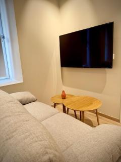 Bright & Cozy Studio - Central Location - Oslo - 8