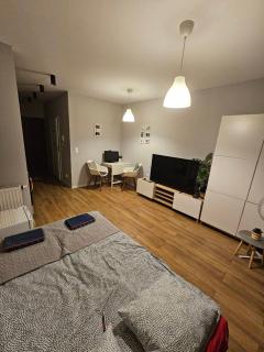 Modern flat - Vilnius - 3