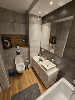 Modern flat - Vilnius - 1