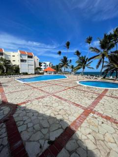 Vista palmera - Juan Pedro - 0