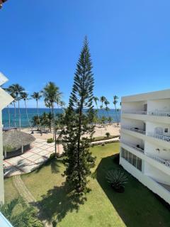 Vista palmera - Juan Pedro - 9