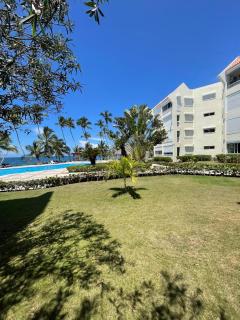 Vista palmera - Juan Pedro - 8
