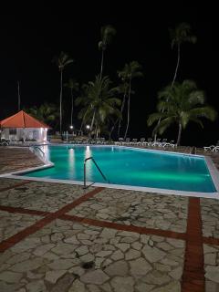 Vista palmera - Juan Pedro - 1
