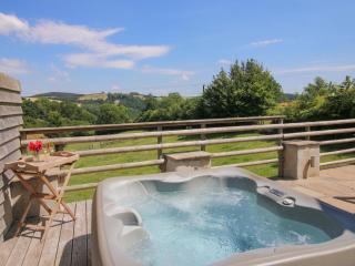 Brynlikky Cottage - Bucknell - 0