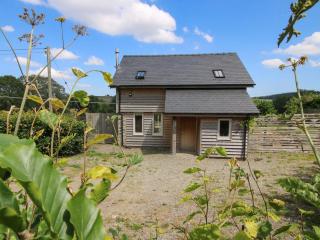 Brynlikky Cottage - Bucknell - 9