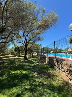 Oasi Apartment Porto Rotondo - Porto Rotondo - 4