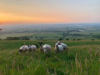 Glamping Pod - Vale View - - 3