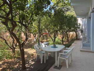 Orange Tree - Chania - 0