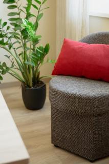 Old Town Apartment - Jonava - 6