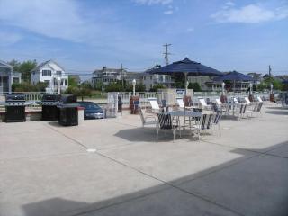 Cape Roc Unit 110 - Cape May - 9