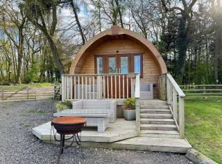 Glamping Pod - Vale View - - 7