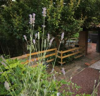 Gite pour 2 en pleine nature avec jaccuzzi - Gaillac - 5