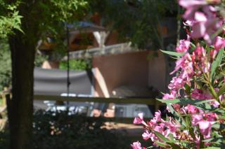 Gite pour 2 en pleine nature avec jaccuzzi - Gaillac - 8