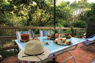 Gite pour 2 en pleine nature avec jaccuzzi - Gaillac - 2