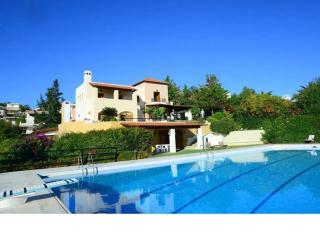 Villa Falmy - Anavissos - 0