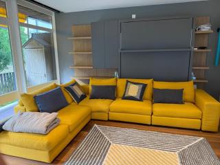 Luxury Studio near UN and Palexpo - Arni Alp - 5