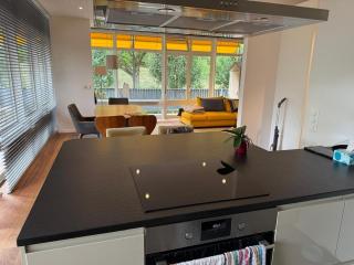 Luxury Studio near UN and Palexpo - Arni Alp - 4