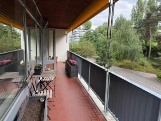Luxury Studio near UN and Palexpo - Arni Alp - 2