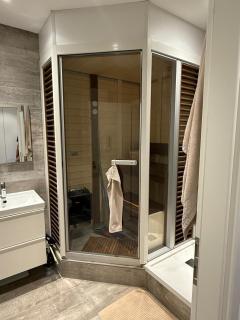 Luxury Studio near UN and Palexpo - Arni Alp - 1