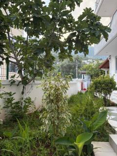 Yard Paradise - Gjilek - 9