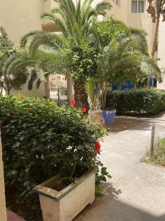 Ghazoua Gem - 5