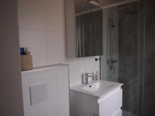 Chalet Vlinder - Haarle - 4