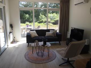 Chalet Vlinder - Haarle - 9