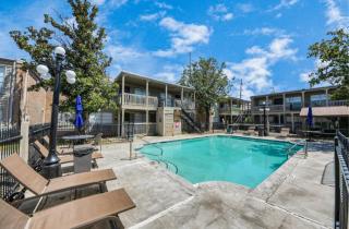 Modern 2BR Apt in the Galleria, Near Shops and Free Parking - Houston - 1