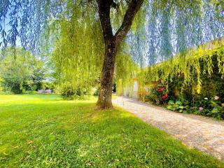 Nature luxuriante, jeux en famille et Sauna pour 1 à 4 personnes - - 7