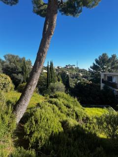 Collines de Nice - Nizza - 4